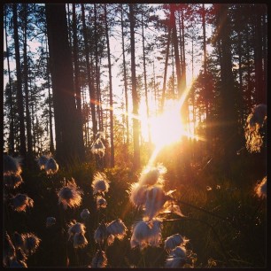 Fint å nyte solnedgangen i Brattåsen! #mittÅsnes #