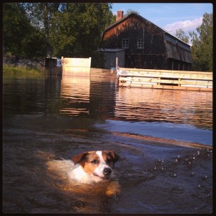 Yes, I love to swim! #mittÅsnes #