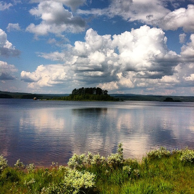 • Love summer•Rotbergsjøen, Norway