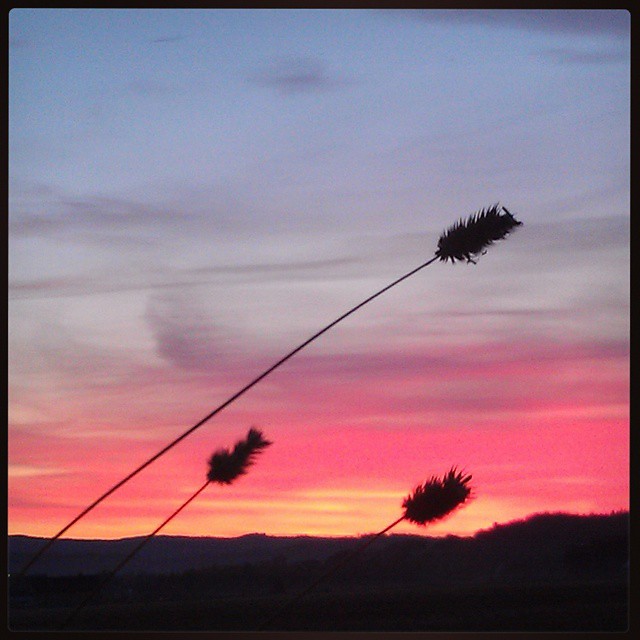 I had to stop on the way home to enjoy the nice sunset. #mittÅsnes #