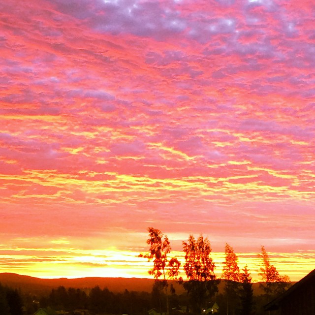 Morgenstund har gull i munn. Ønsker dere en flott dag!