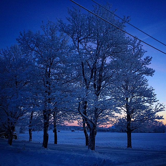 Vinter på Flisa #mittÅsnes