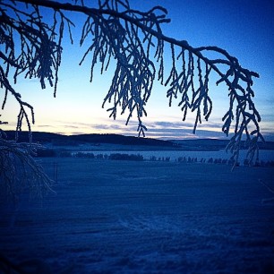 Gjesåssjøen -26... #mittÅsnes