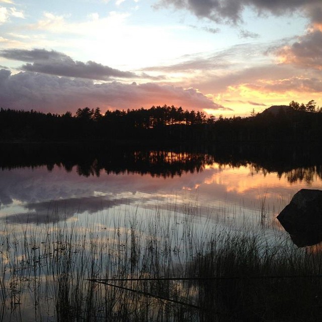 Fisketur på Kynna #mittÅsnes