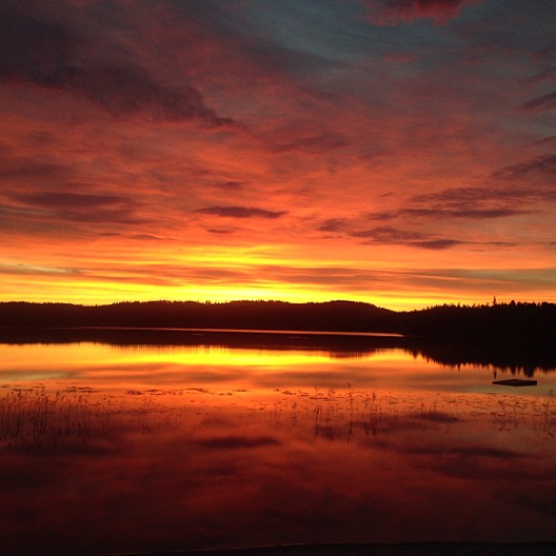 Baksjøen ass'